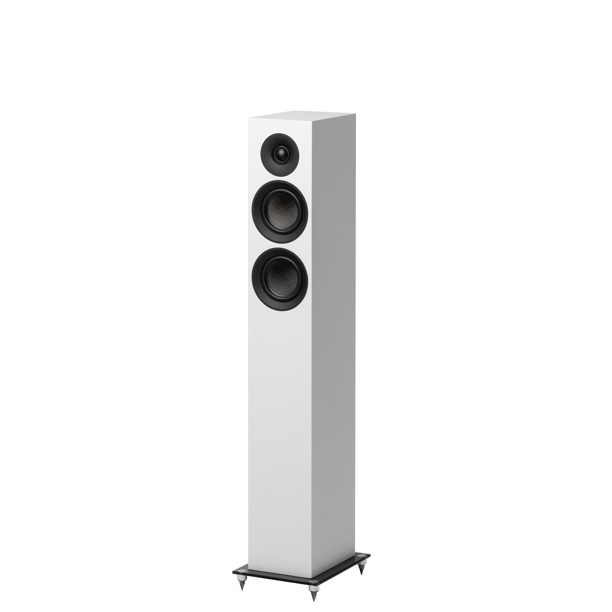 Speaker Box 10 E Carbon