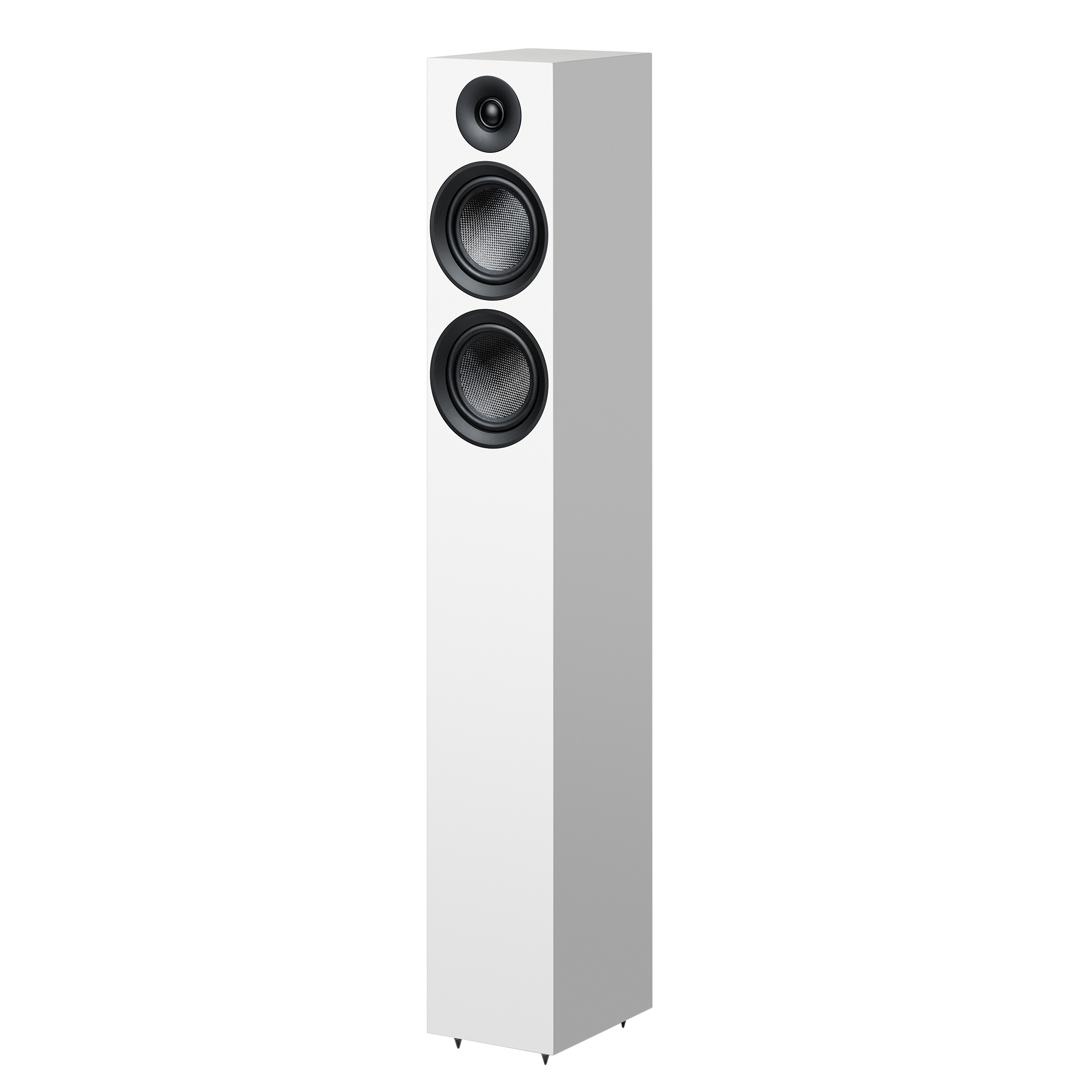 Speaker Box 12 E Carbon